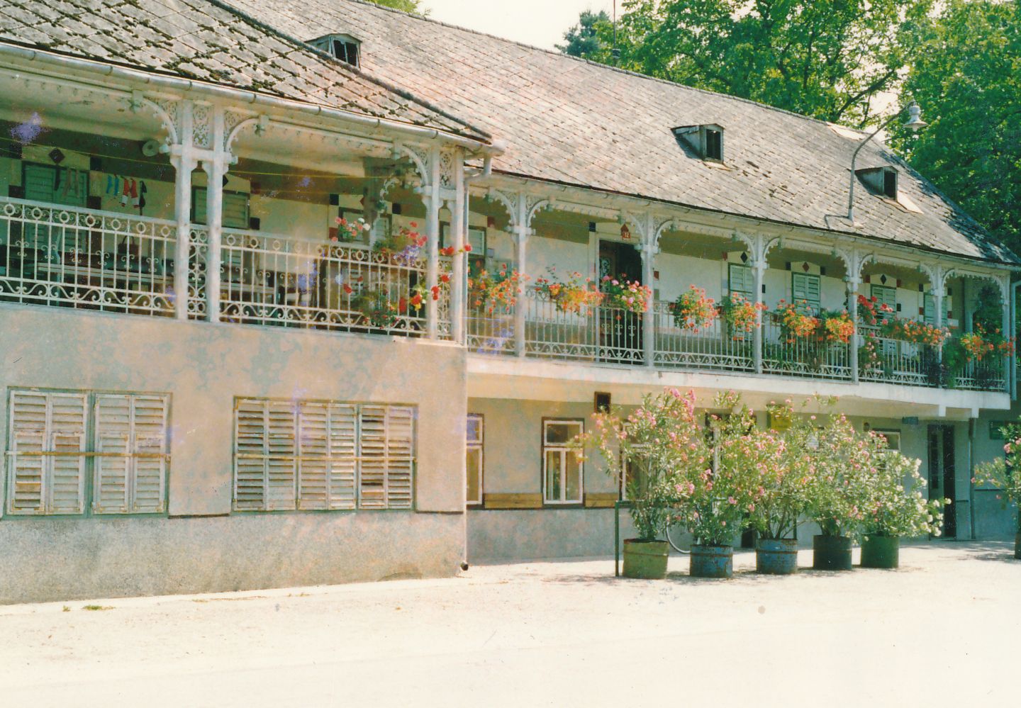 eika image
